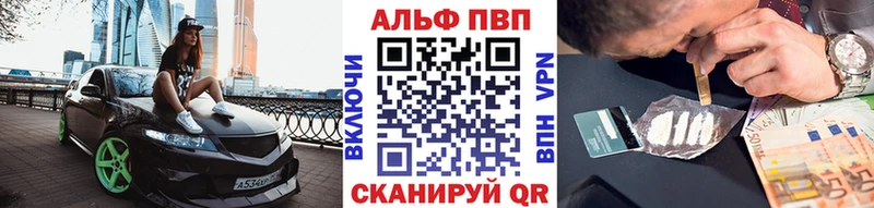 Купить закладки  Шебекино  Alfa_PVP крисы CK 
