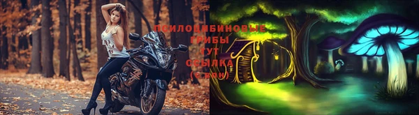 PSILOCYBIN Зеленодольск