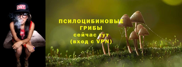 PSILOCYBIN Зеленодольск