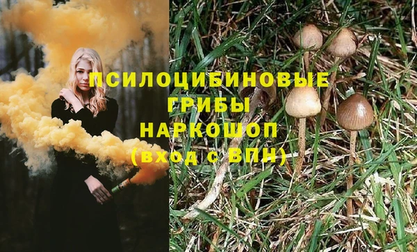 PSILOCYBIN Зеленодольск