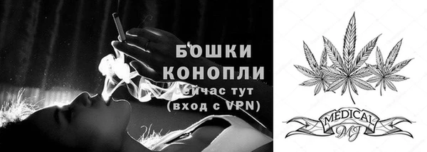 PSILOCYBIN Зеленодольск