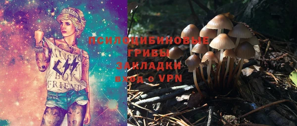 PSILOCYBIN Зеленодольск