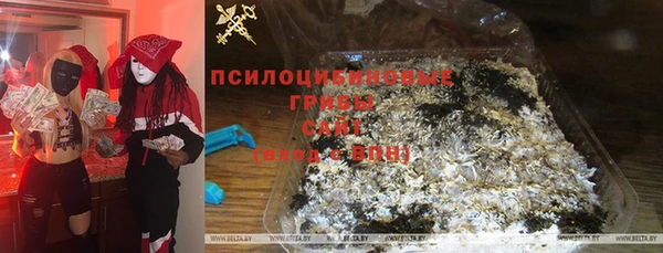 PSILOCYBIN Зеленодольск