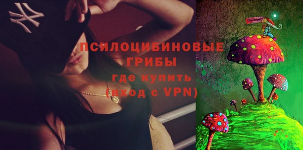 PSILOCYBIN Зеленодольск